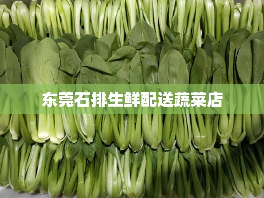 东莞石排生鲜配送蔬菜店
