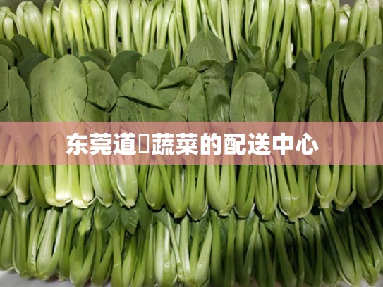 东莞道滘蔬菜的配送中心