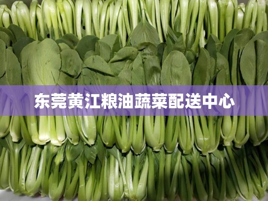 东莞黄江粮油蔬菜配送中心