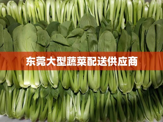 东莞大型蔬菜配送供应商