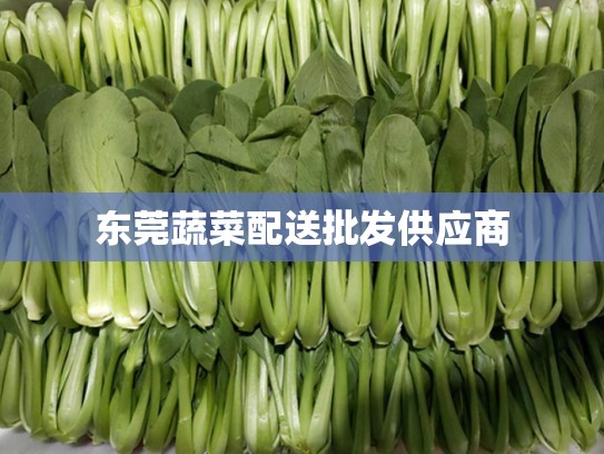 东莞蔬菜配送批发供应商