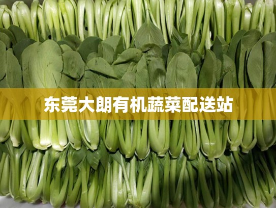 东莞大朗有机蔬菜配送站
