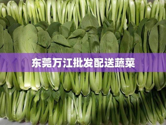 东莞万江批发配送蔬菜