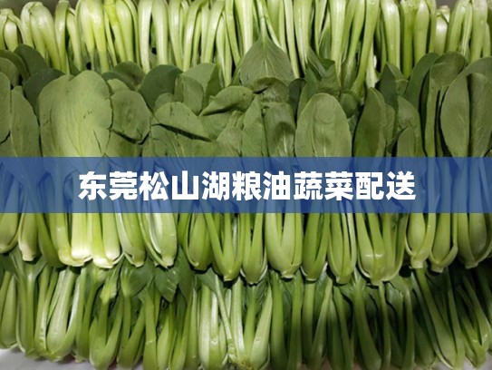 东莞松山湖粮油蔬菜配送