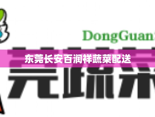 东莞长安百润祥蔬菜配送