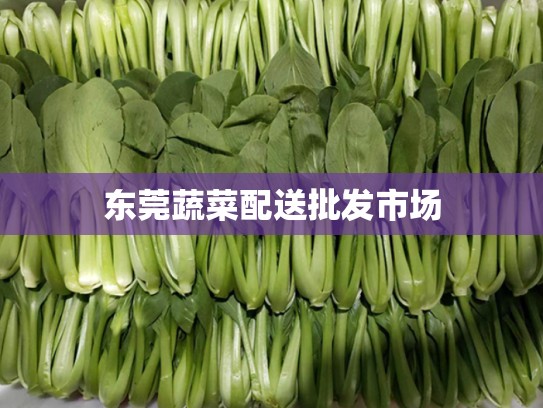 东莞蔬菜配送批发市场