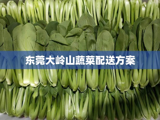东莞大岭山蔬菜配送方案