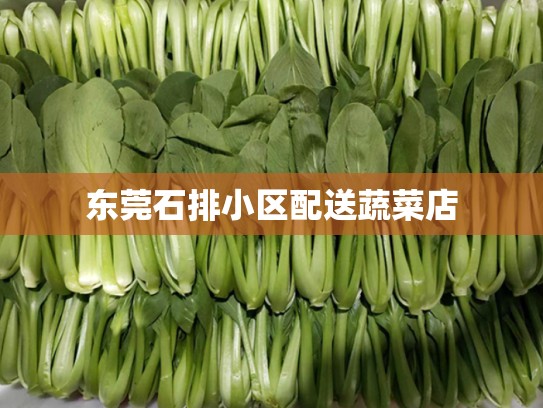 东莞石排小区配送蔬菜店