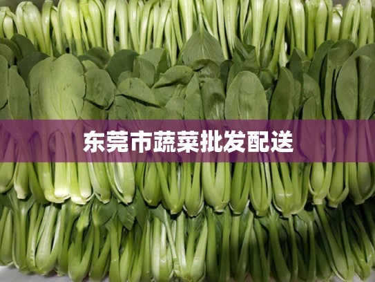 东莞市蔬菜批发配送