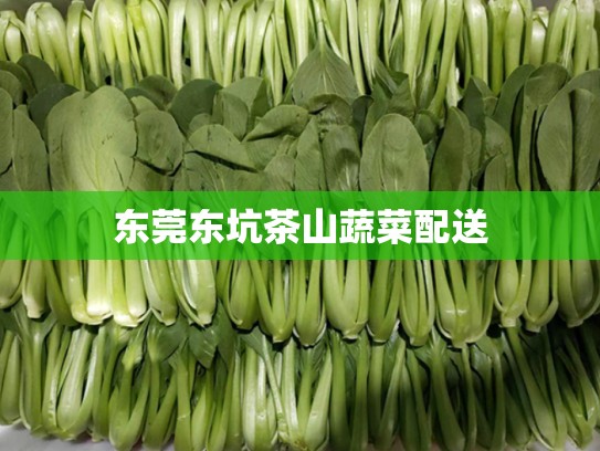 东莞东坑茶山蔬菜配送
