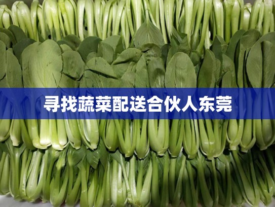 寻找蔬菜配送合伙人东莞