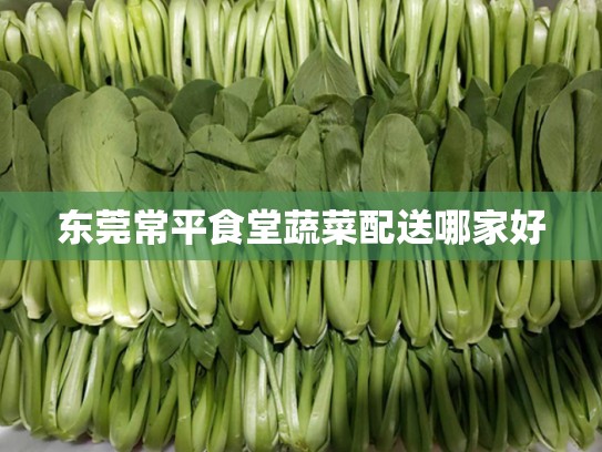 东莞常平食堂蔬菜配送哪家好