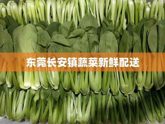 东莞长安镇蔬菜新鲜配送