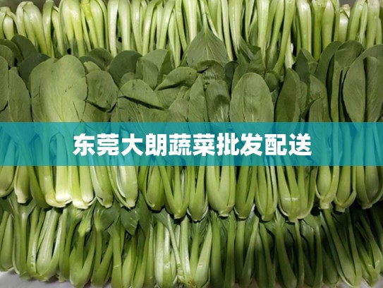 东莞大朗蔬菜批发配送