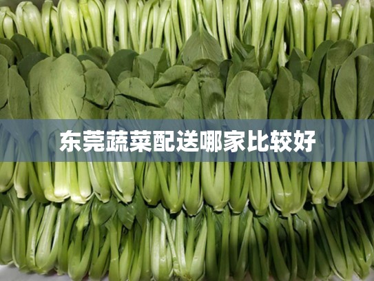东莞蔬菜配送哪家比较好