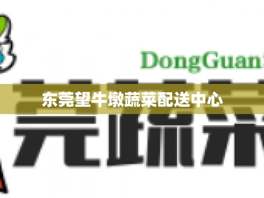 东莞望牛墩蔬菜配送中心