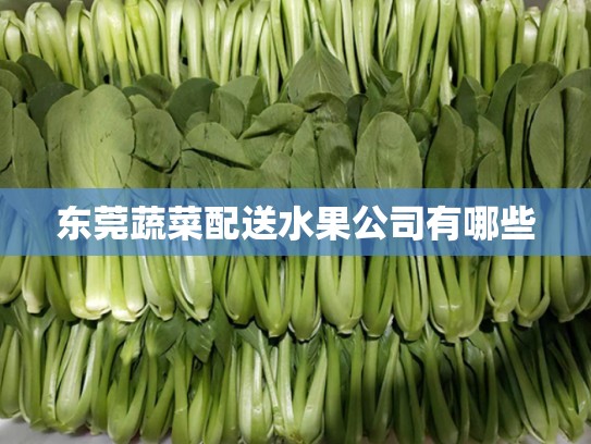 东莞蔬菜配送水果公司有哪些