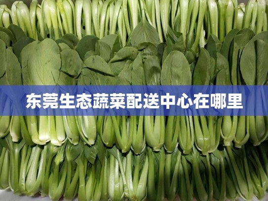 东莞生态蔬菜配送中心在哪里
