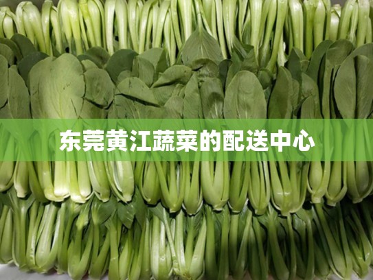 东莞黄江蔬菜的配送中心