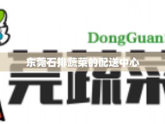 东莞石排蔬菜的配送中心