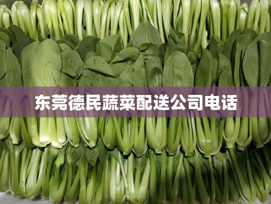 东莞德民蔬菜配送公司电话