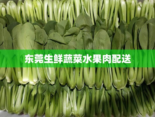 东莞生鲜蔬菜水果肉配送