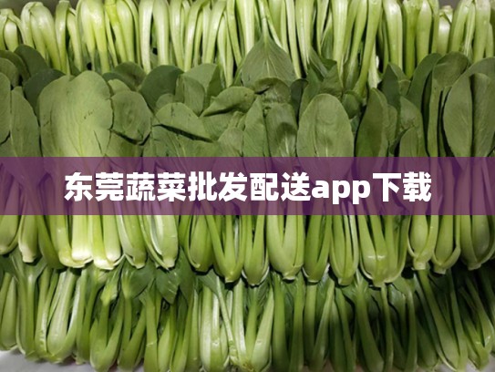 东莞蔬菜批发配送app下载