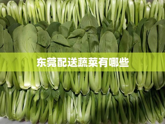 东莞配送蔬菜有哪些