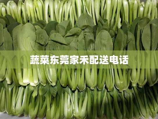 蔬菜东莞家禾配送电话