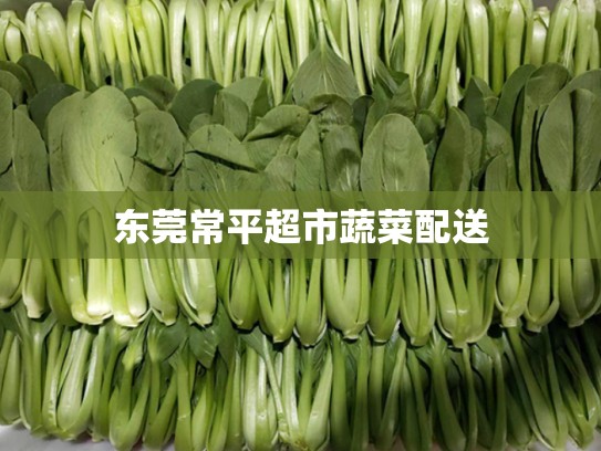 东莞常平超市蔬菜配送