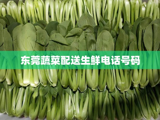 东莞蔬菜配送生鲜电话号码