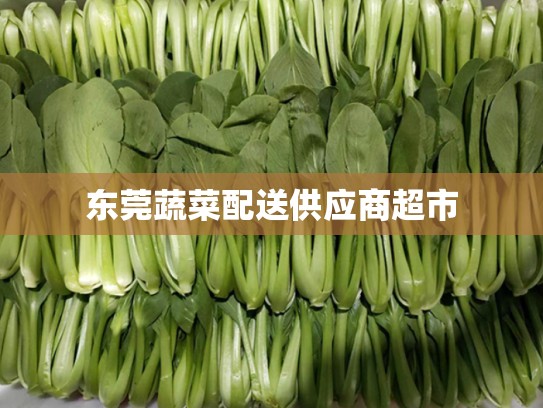 东莞蔬菜配送供应商超市