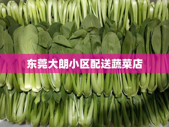东莞大朗小区配送蔬菜店