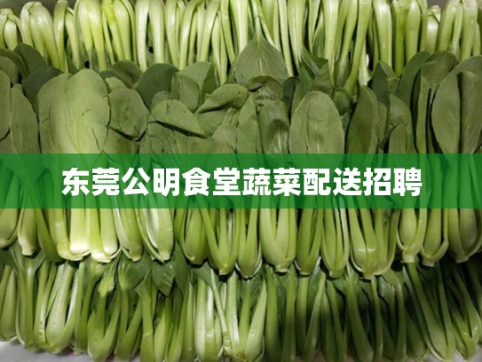 东莞公明食堂蔬菜配送招聘