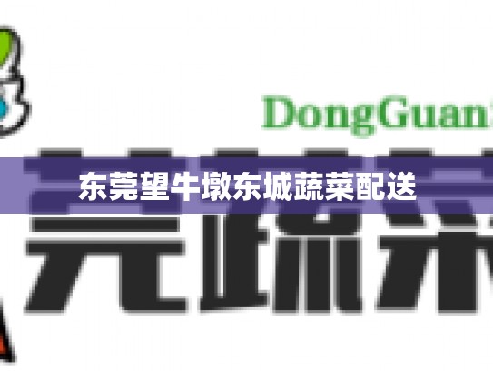 东莞望牛墩东城蔬菜配送