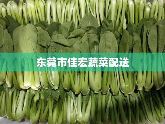 东莞市佳宏蔬菜配送