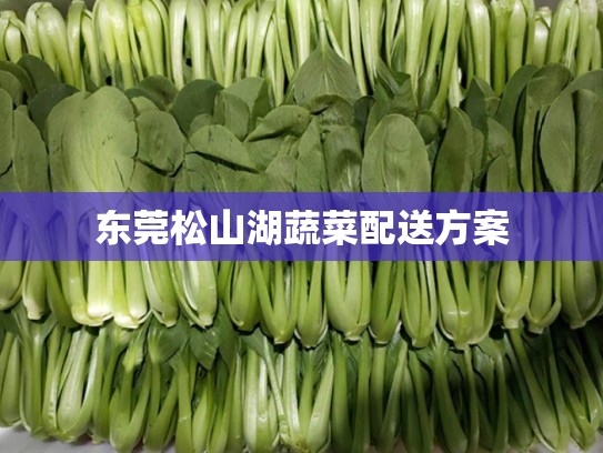 东莞松山湖蔬菜配送方案