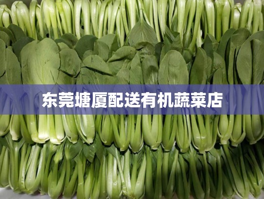 东莞塘厦配送有机蔬菜店