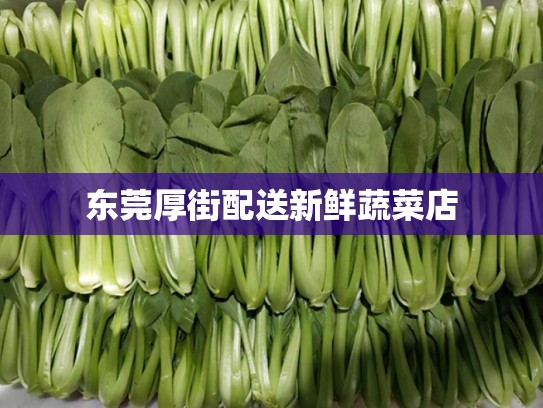 东莞厚街配送新鲜蔬菜店