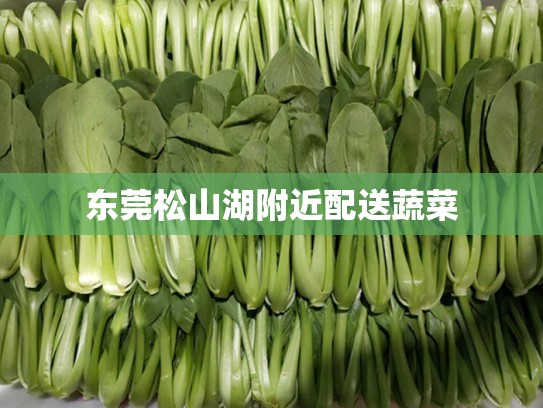 东莞松山湖附近配送蔬菜
