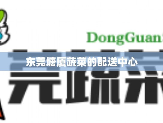 东莞塘厦蔬菜的配送中心