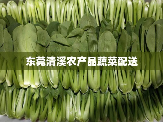 东莞清溪农产品蔬菜配送