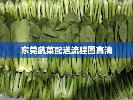 东莞蔬菜配送流程图高清