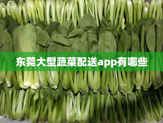 东莞大型蔬菜配送app有哪些