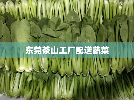 东莞茶山工厂配送蔬菜