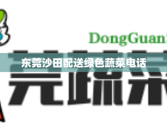 东莞沙田配送绿色蔬菜电话