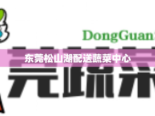 东莞松山湖配送蔬菜中心