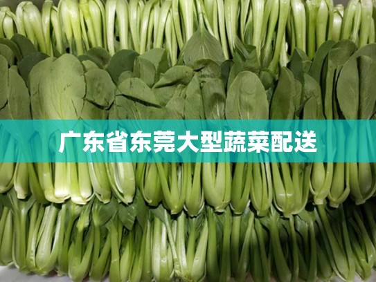 广东省东莞大型蔬菜配送