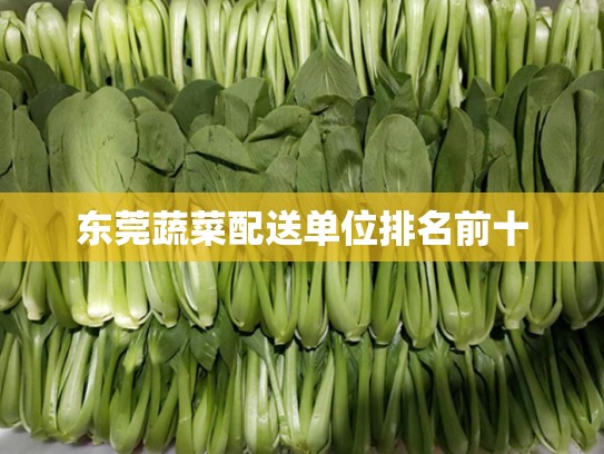 东莞蔬菜配送单位排名前十