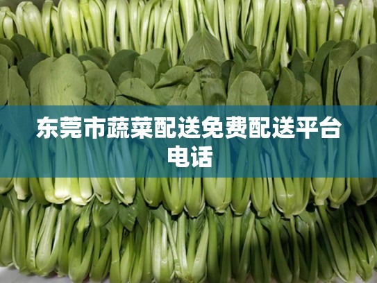 东莞市蔬菜配送免费配送平台电话